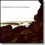 polygon window surfing on syne waves