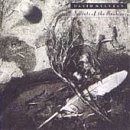d.sylvian secrets of the beehive