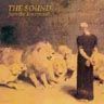sound from the lion's mouth