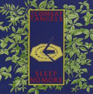 comsat angels sleep no more