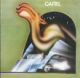 camel s/t