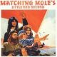 matching mole's little red records