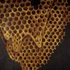 telefon tel aviv map of what is effortless