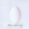 wilco a ghost is born